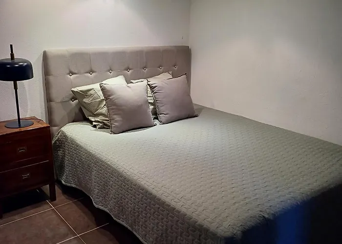 Palm Apartman Cannes